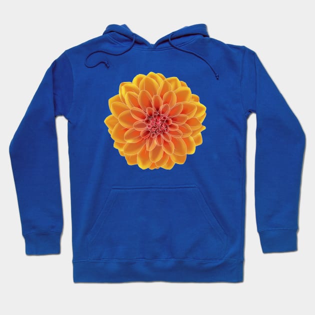 Fire Flower Hoodie by Kristal Stittle